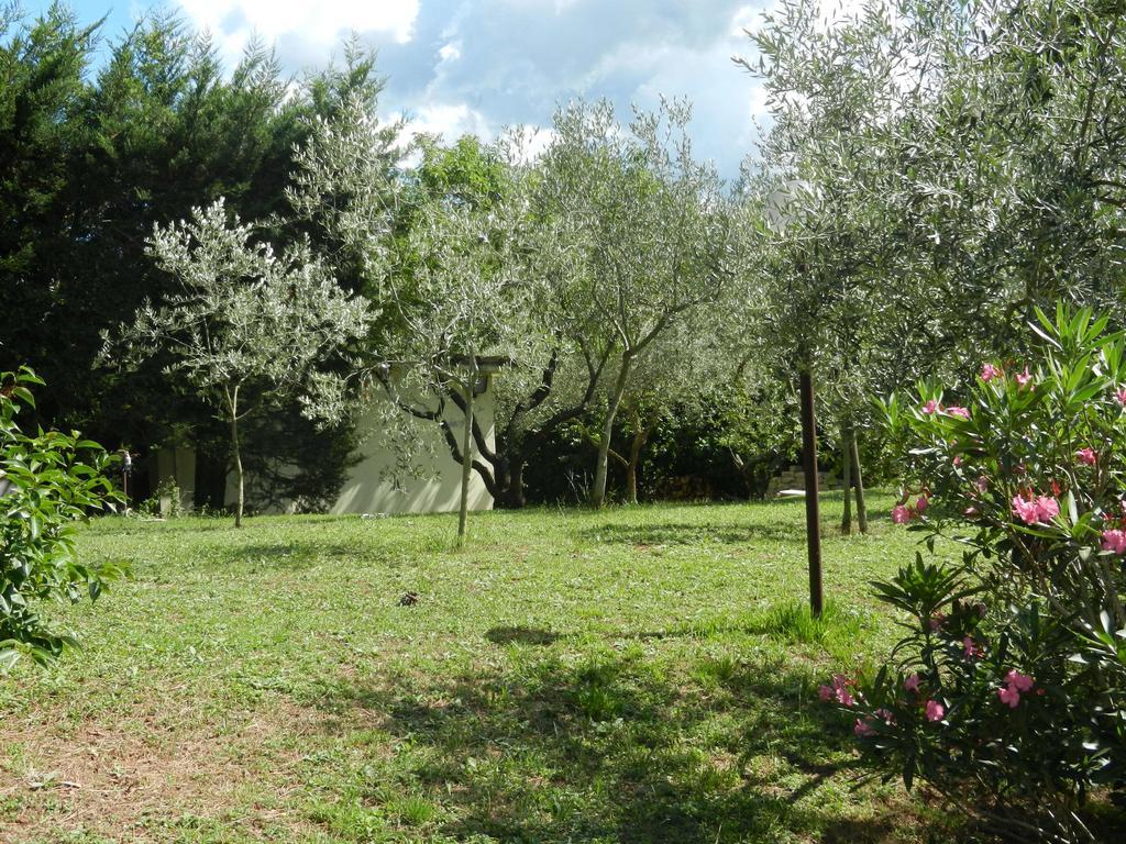 La Cancellata di Mezzo Zagarolo Esterno foto